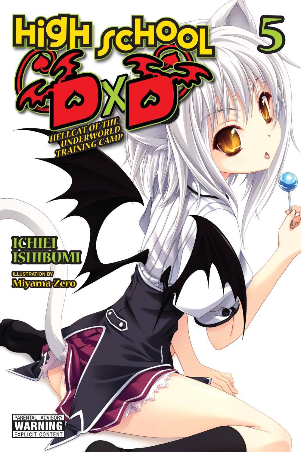 High School DxD, Vol. 5 (light novel) by Ichiei Ishibumi - ISBN: 9781975312336