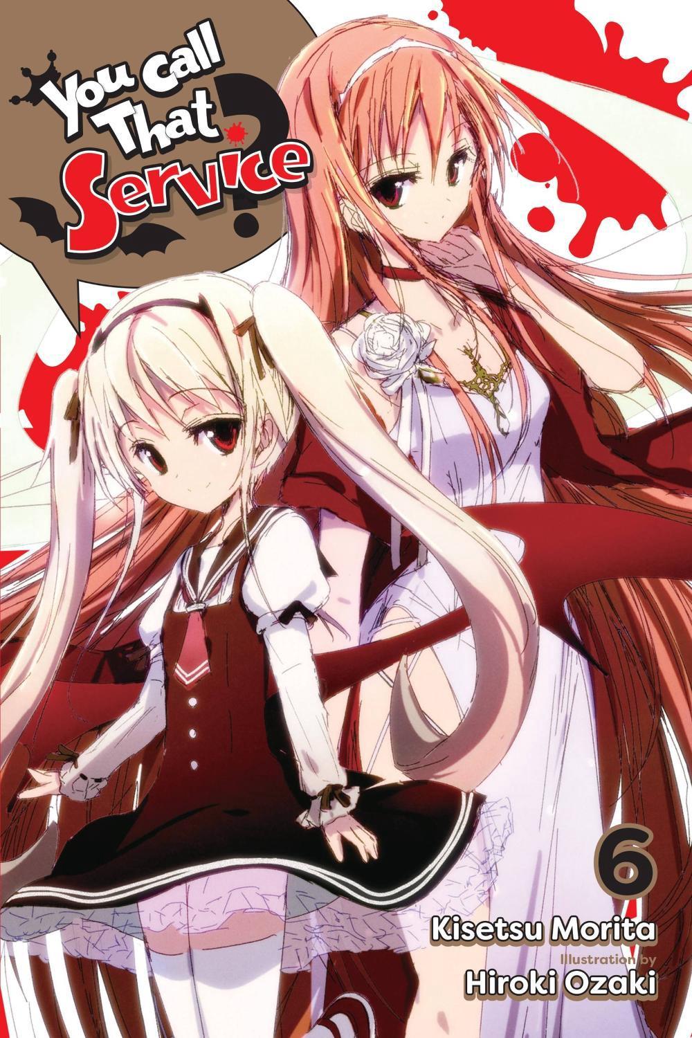 You Call That Service?, Vol. 6 (light novel) by Kisetsu Morita - ISBN: 9781975325084