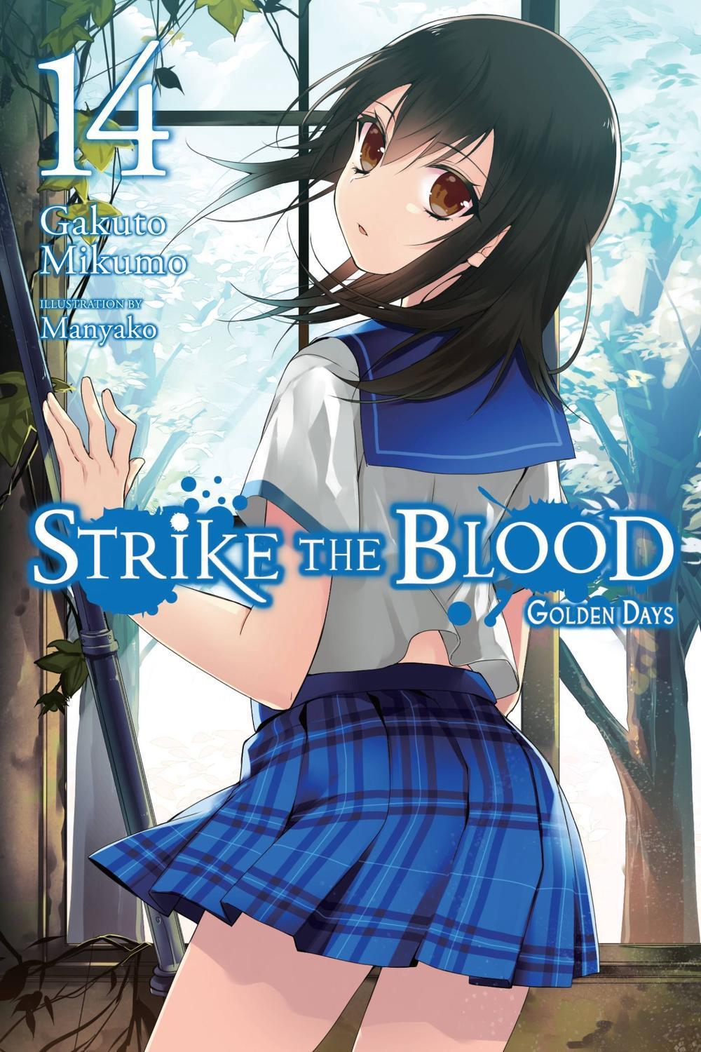 Strike the Blood, Vol. 14 (light novel) by Gakuto Mikumo - ISBN: 9781975332587