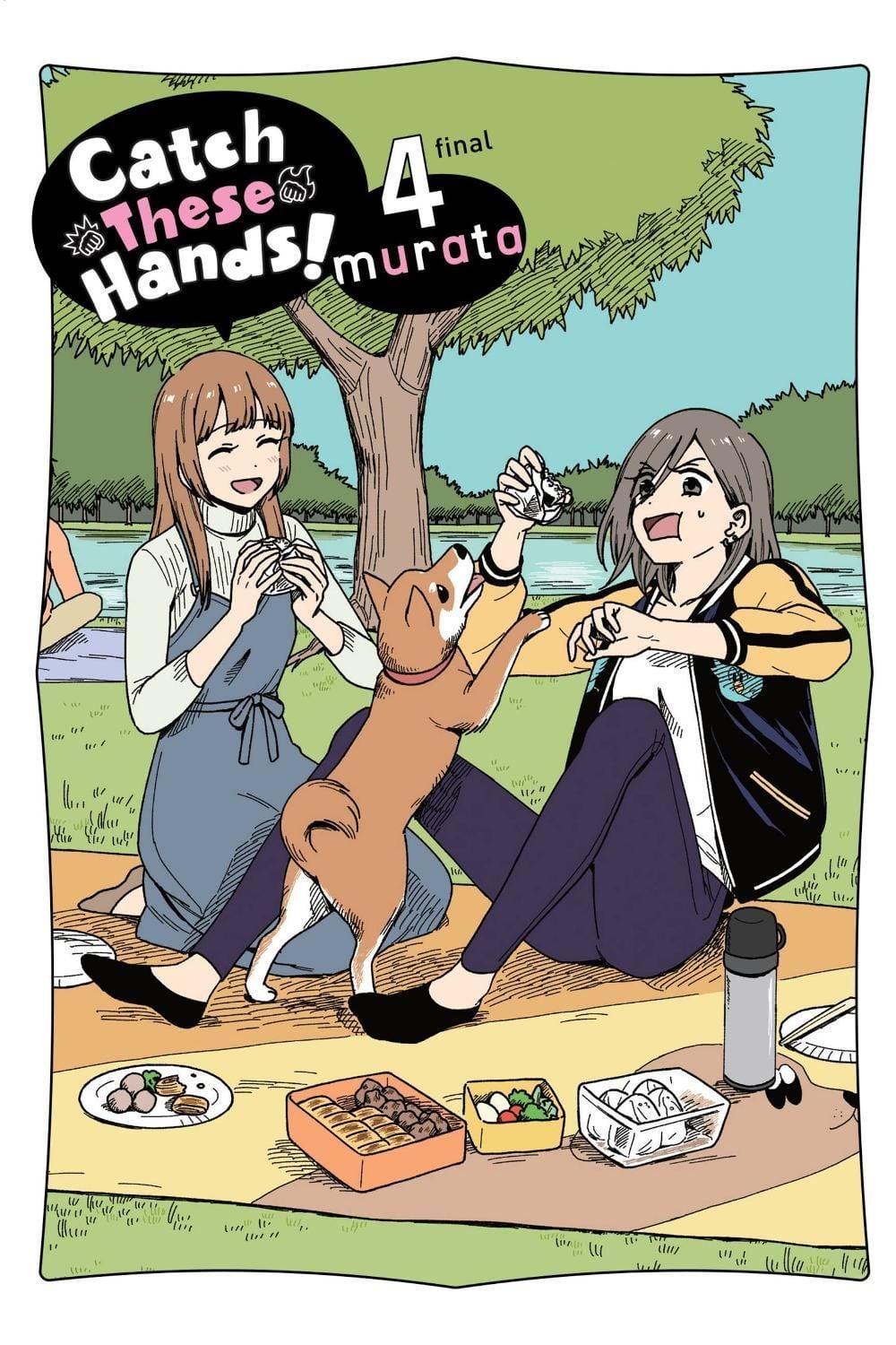 Catch These Hands!, Vol. 4 by Amanda Haley - ISBN: 9781975340193