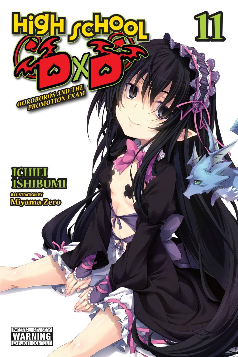 High School DxD, Vol. 11 (light novel) by Ichiei Ishibumi - ISBN: 9781975348168