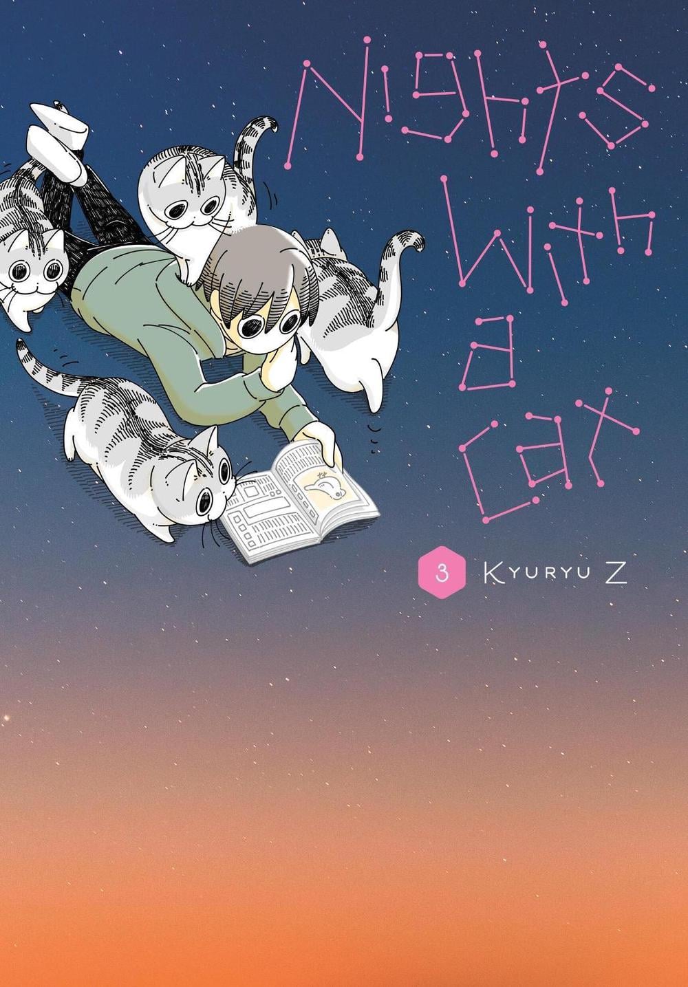 Nights with a Cat, Vol. 3 by Kyuryu Z. - ISBN: 9781975380670