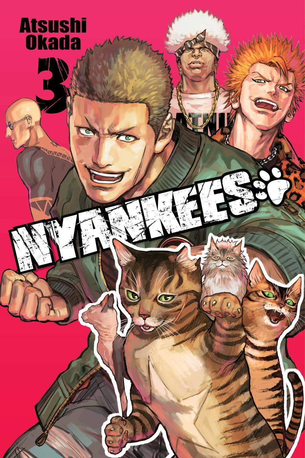 Nyankees, Vol. 3 by Atsushi Okada - ISBN: 9781975383435