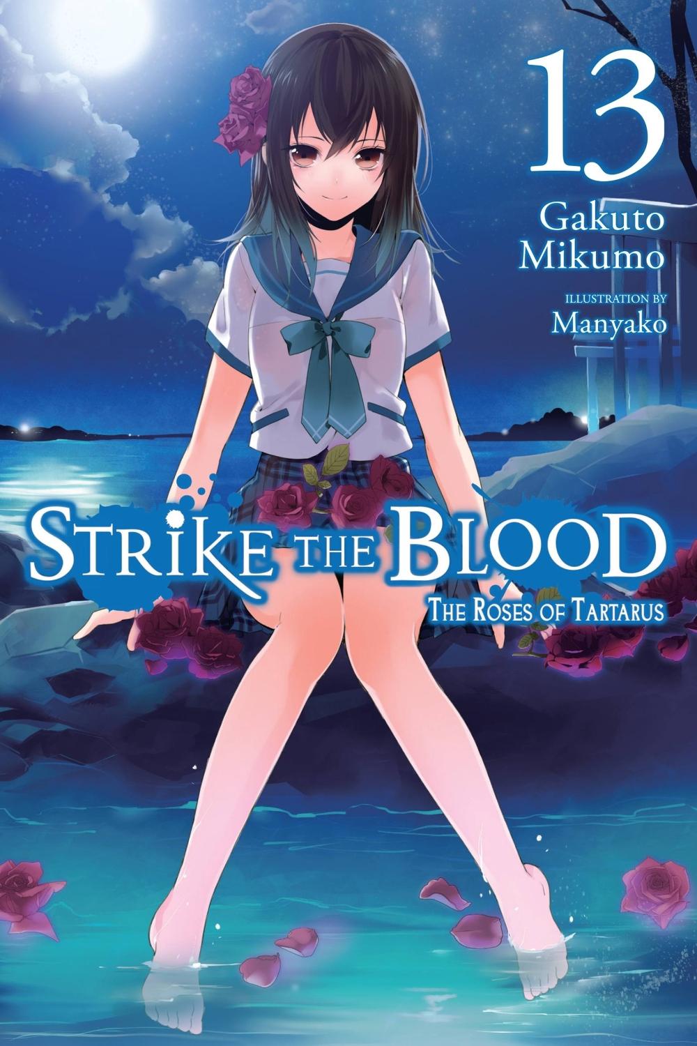 Strike the Blood, Vol. 13 (light novel) by Gakuto Mikumo - ISBN: 9781975384838