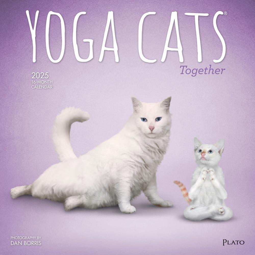 Yoga Cats 2025 16 Month Calendar, 9781975480110