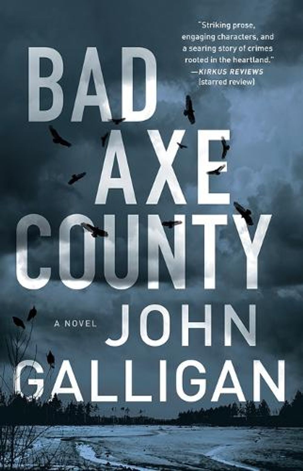 Bad Axe County by John Galligan - ISBN: 9781982110710