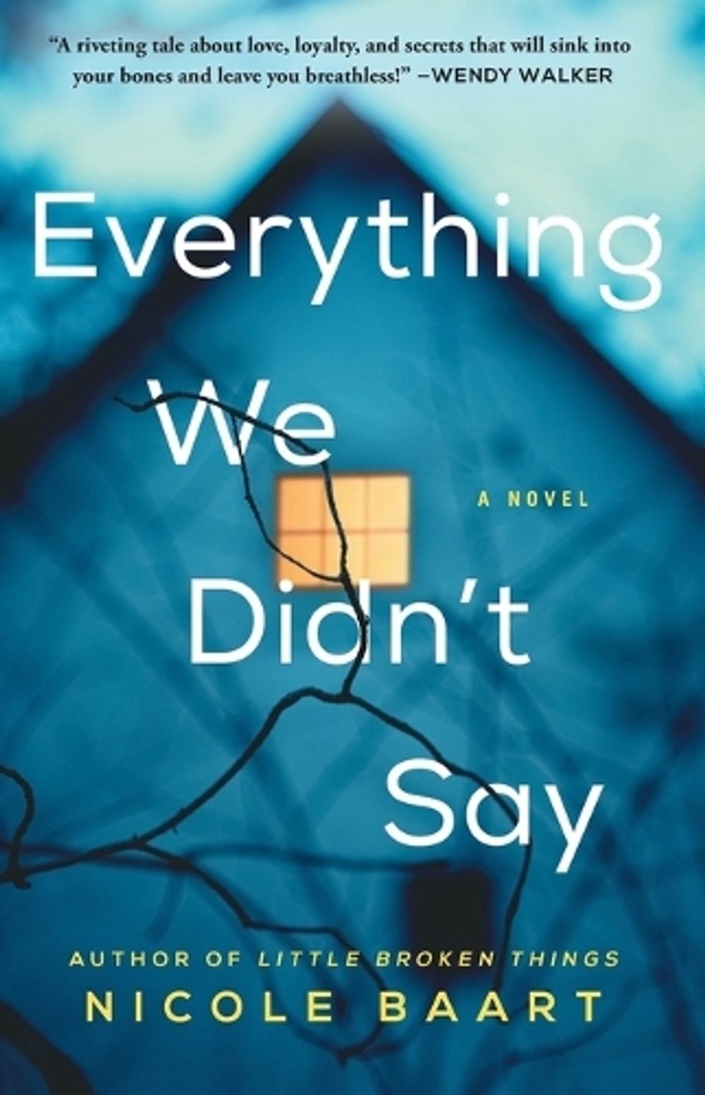 Everything We Didn't Say by Nicole Baart - ISBN: 9781982115081