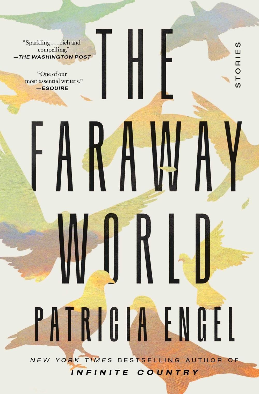 The Faraway World by Patricia Engel - ISBN: 9781982159535
