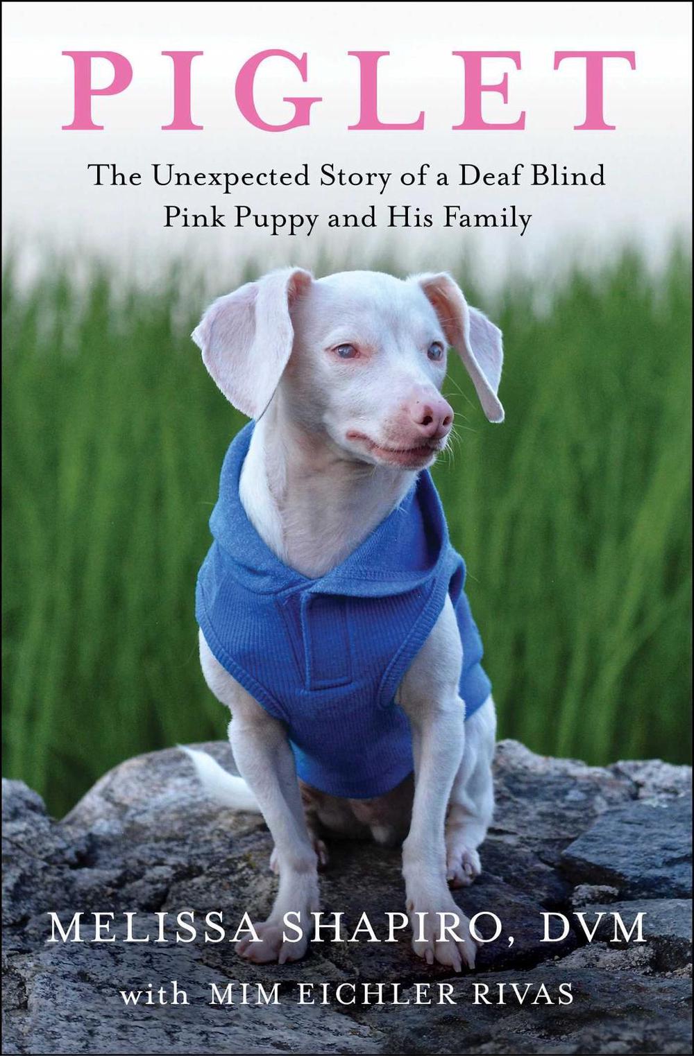 Piglet by Melissa Shapiro - ISBN: 9781982167189