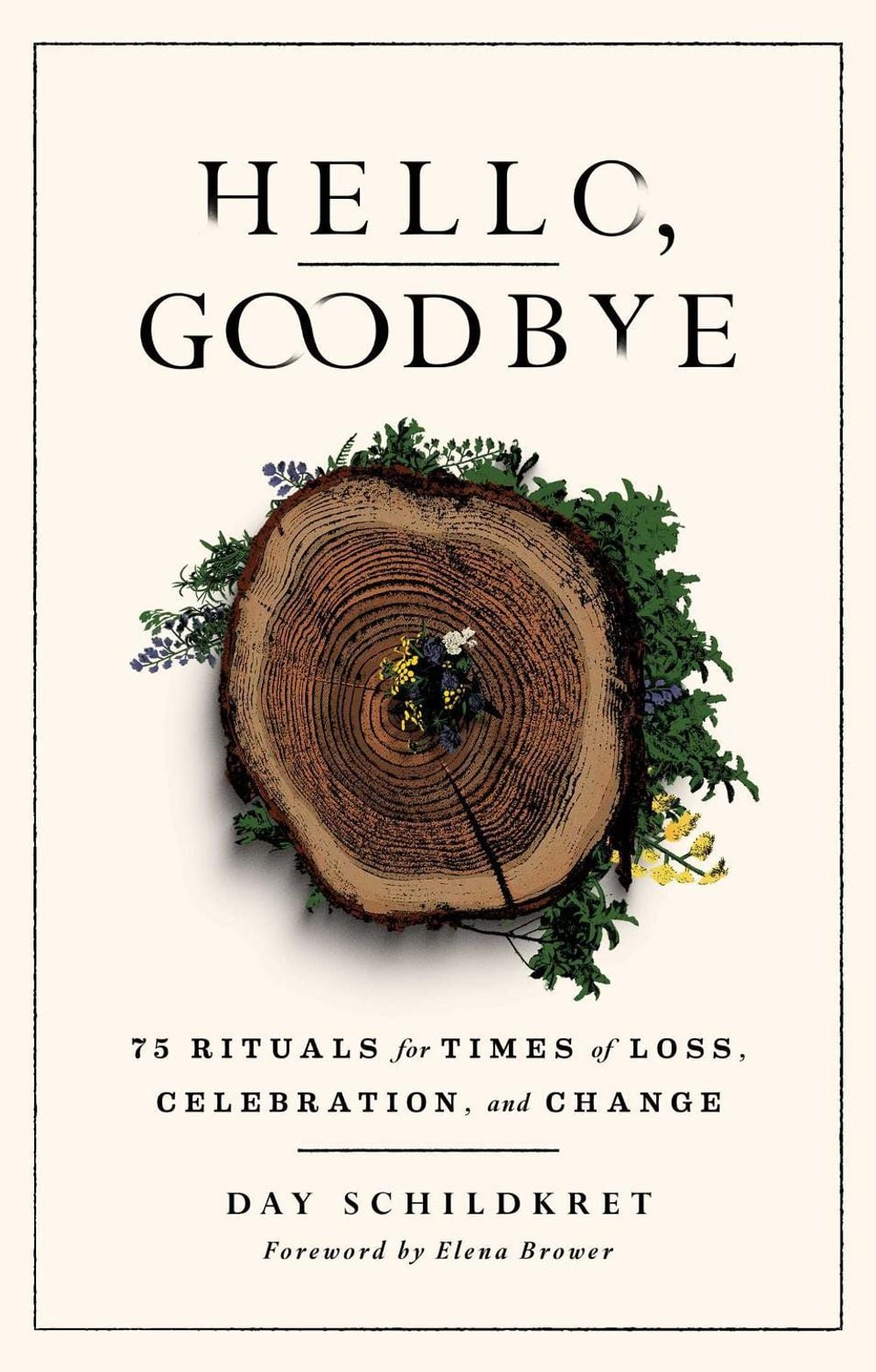 Hello, Goodbye by Day Schildkret - ISBN: 9781982170943