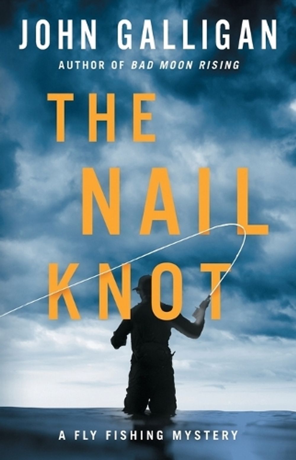 The Nail Knot by John Galligan - ISBN: 9781982187866