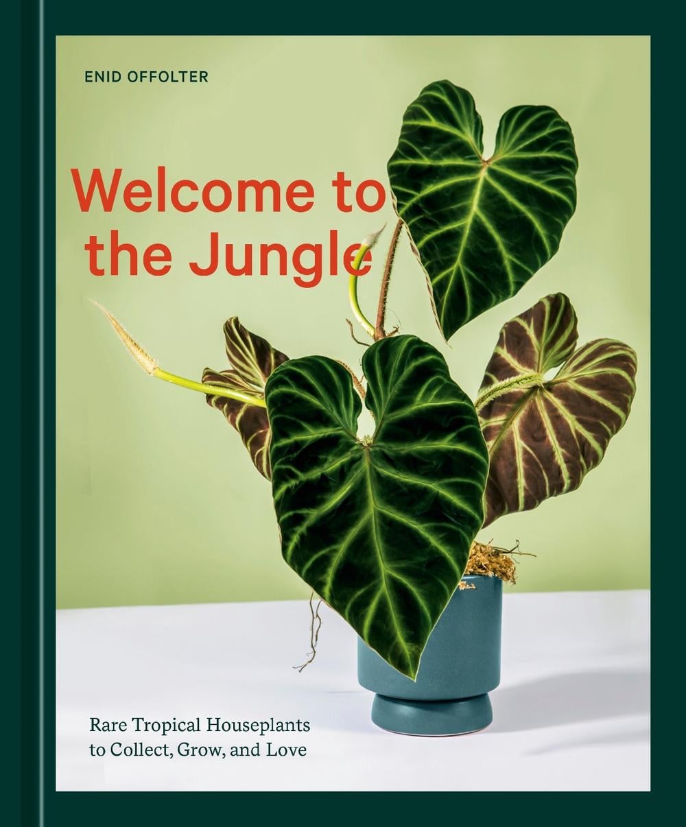 Welcome to the Jungle by Enid Offolter - ISBN: 9781984859945