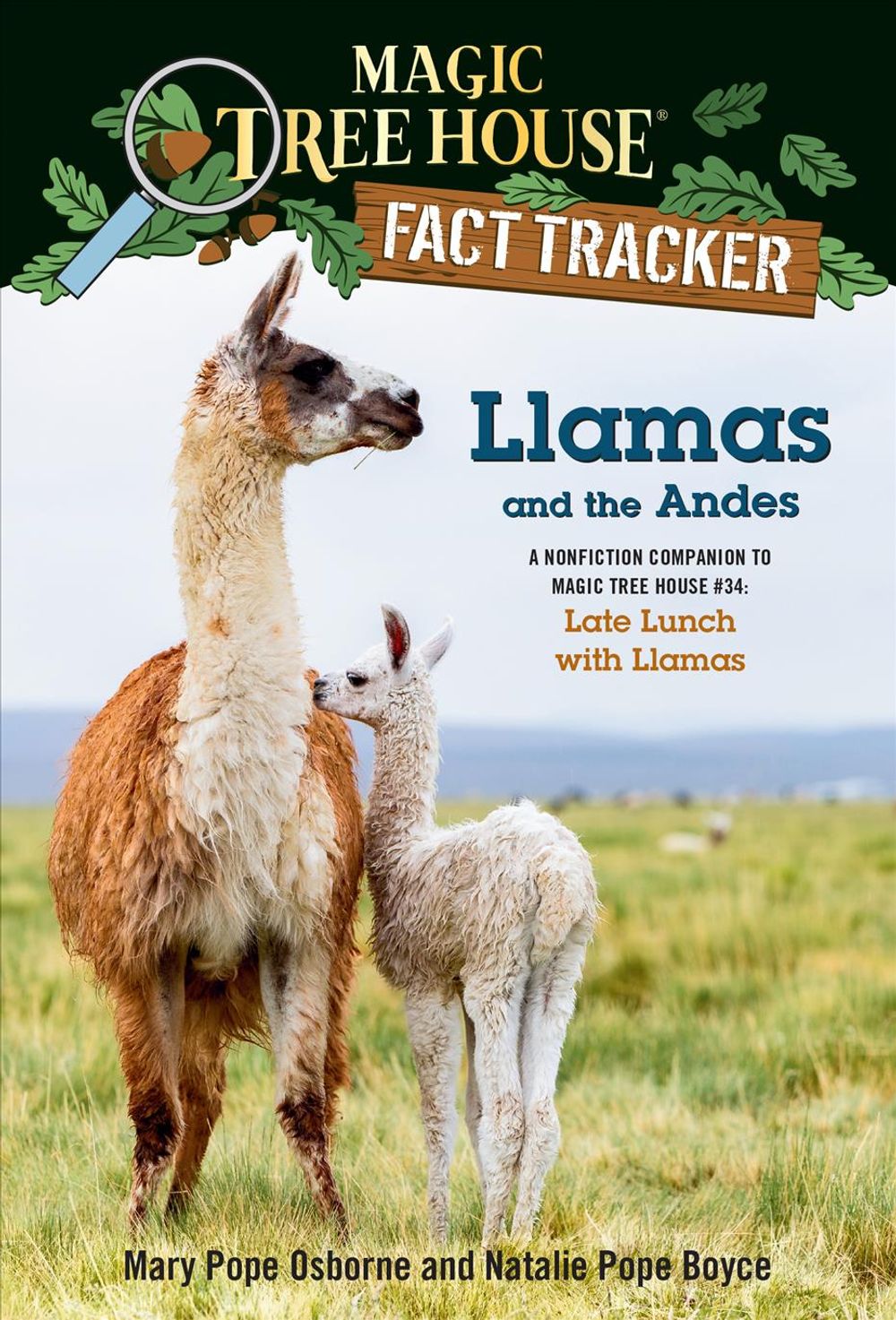 Llamas and the Andes by Mary Pope Osborne - ISBN: 9781984893239