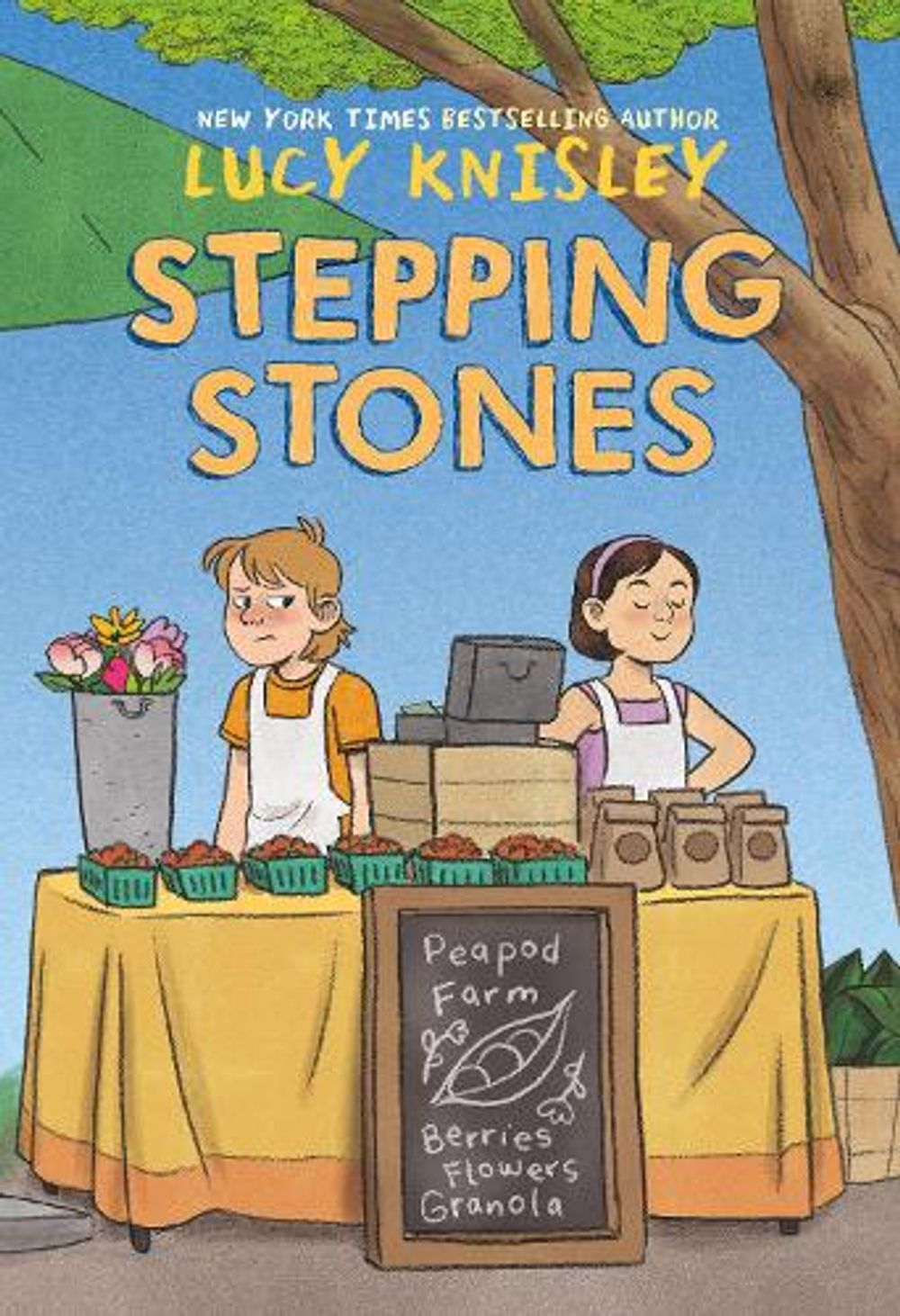 Stepping Stones by Lucy Knisley - ISBN: 9781984896841