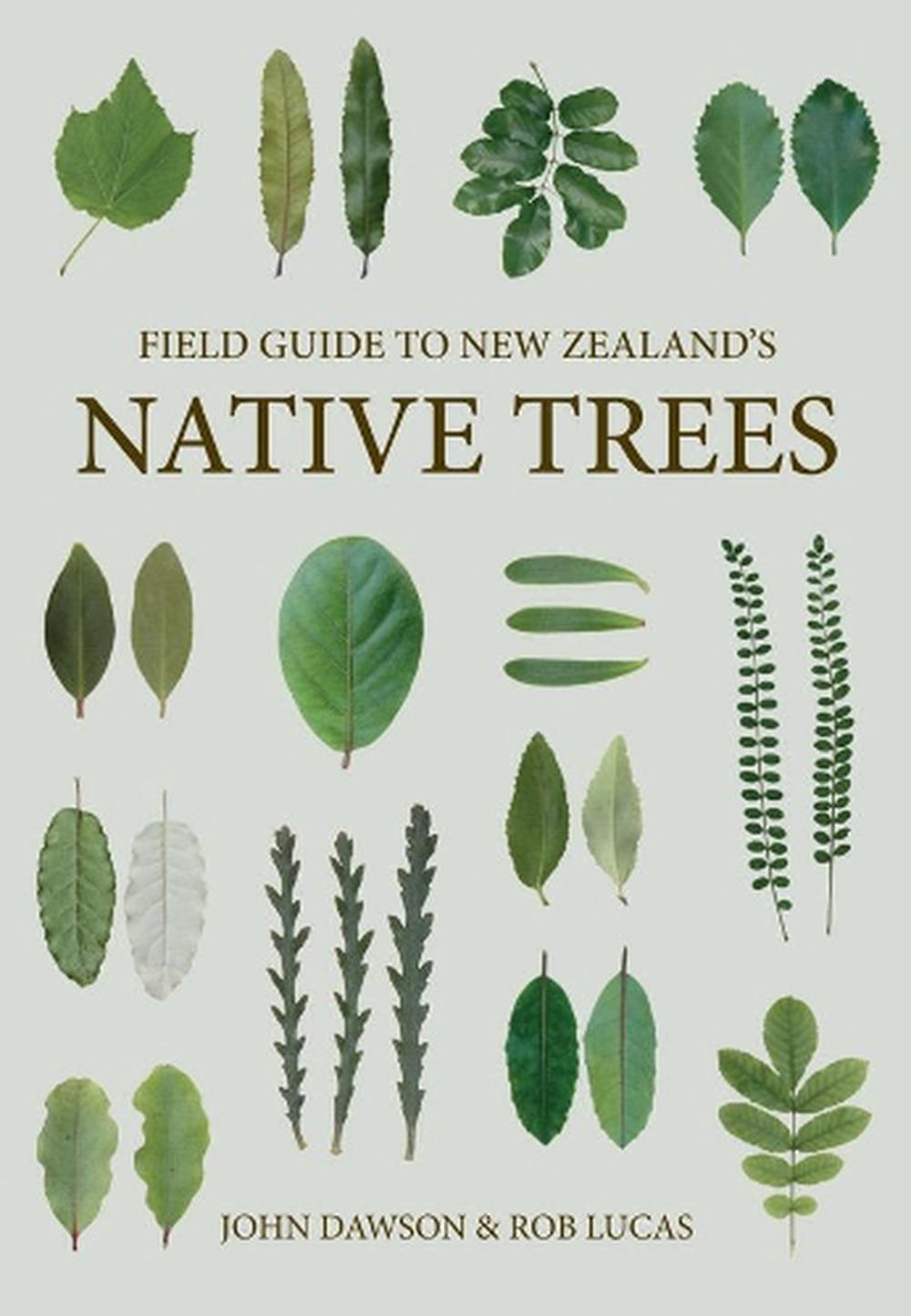Field Guide to New Zealand Native Trees, 9781988550145
