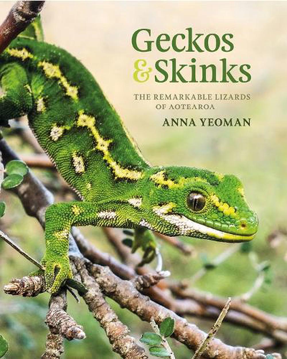 Geckos & Skinks, 9781988550602