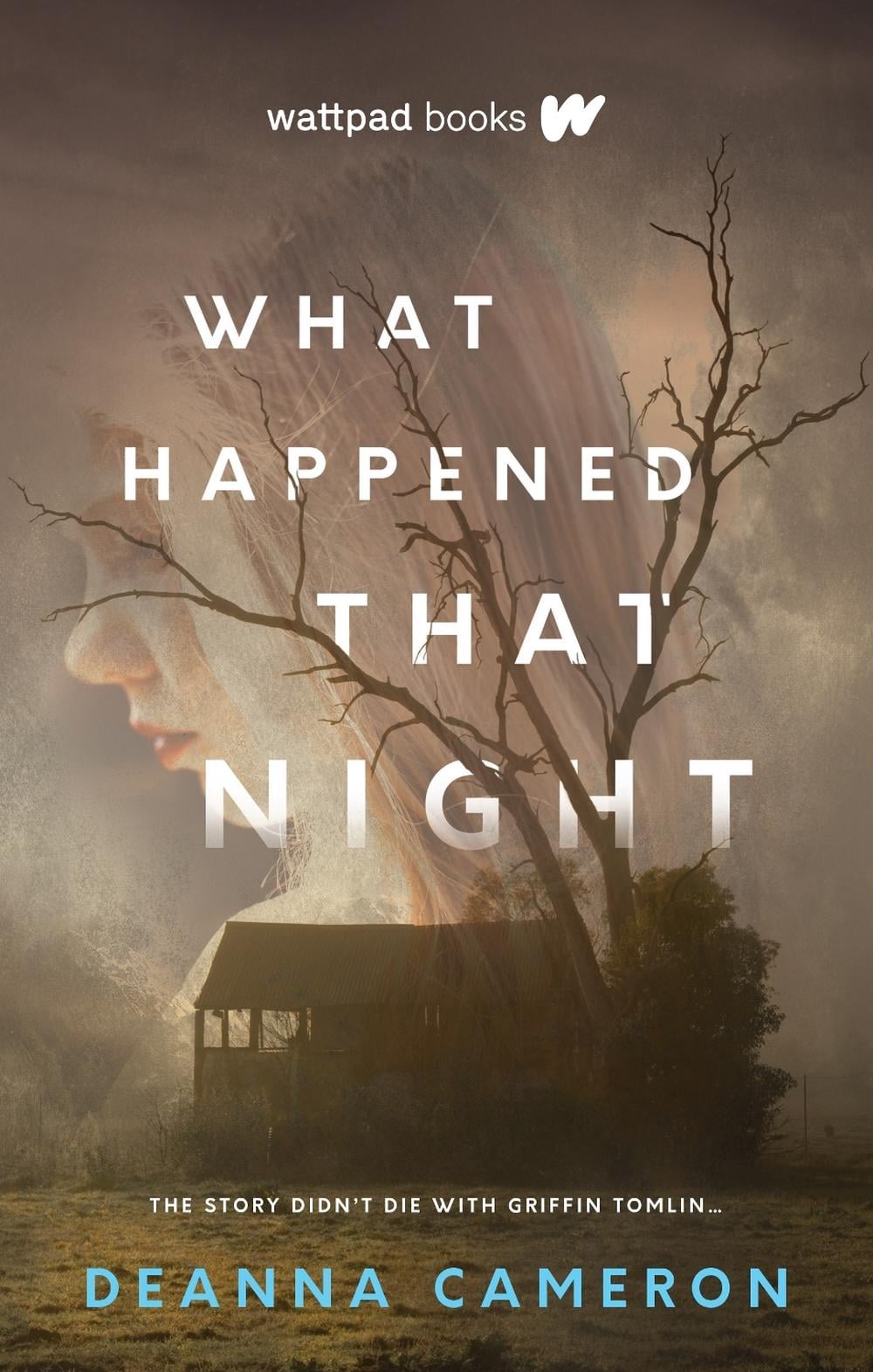 What Happened that Night by DeAnna Cameron - ISBN: 9781989365205