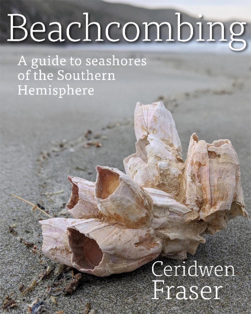 Beachcombing, 9781990048005