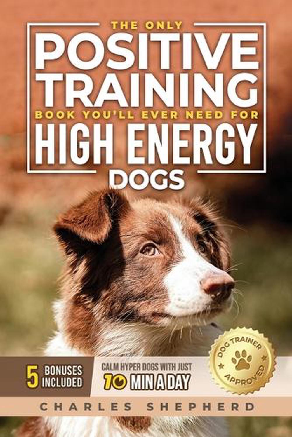 The Only Positive Training Book You'll Ever Need for HighEnergy Dogs