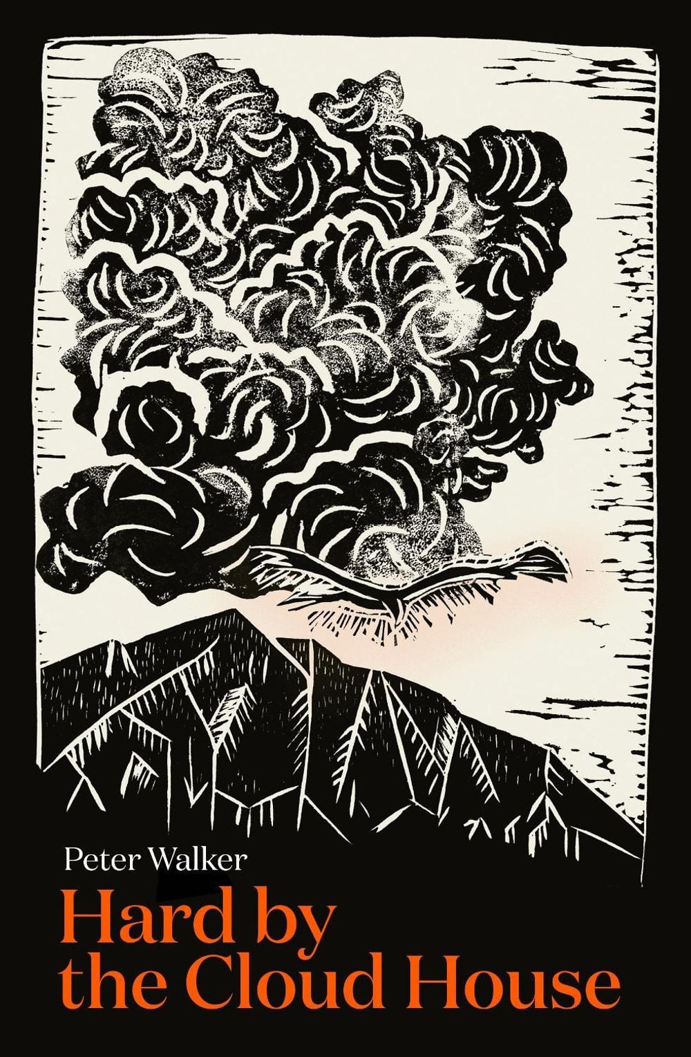 Hard by the Cloud House by Peter Walker - ISBN: 9781991016713