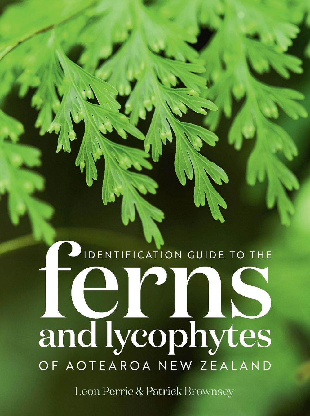 Identification Guide to the Ferns and Lycophytes of Aotearoa NZ, 9781991165558