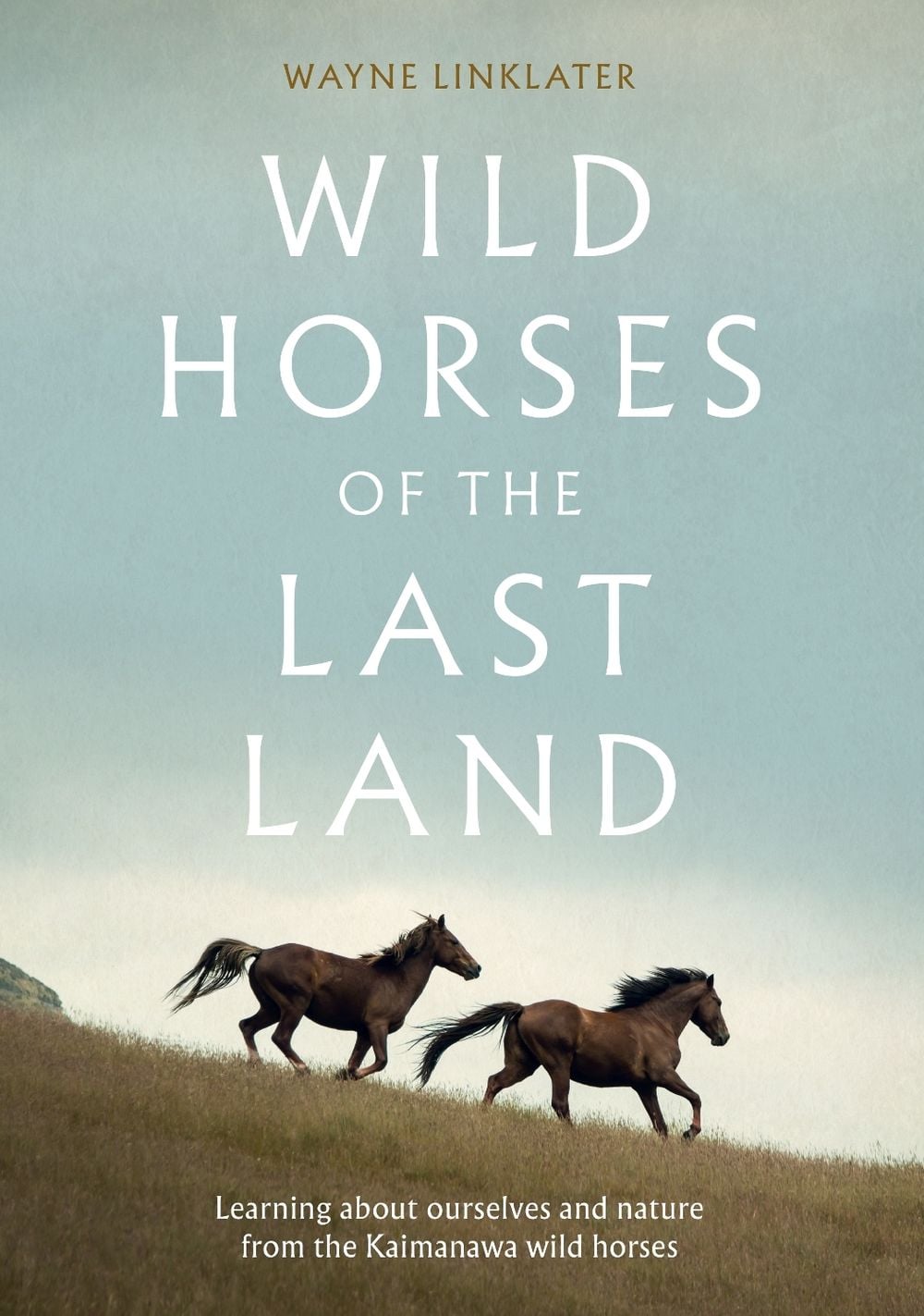 Wild Horses of the Last Land by Wayne Linklater - ISBN: 9781991309396