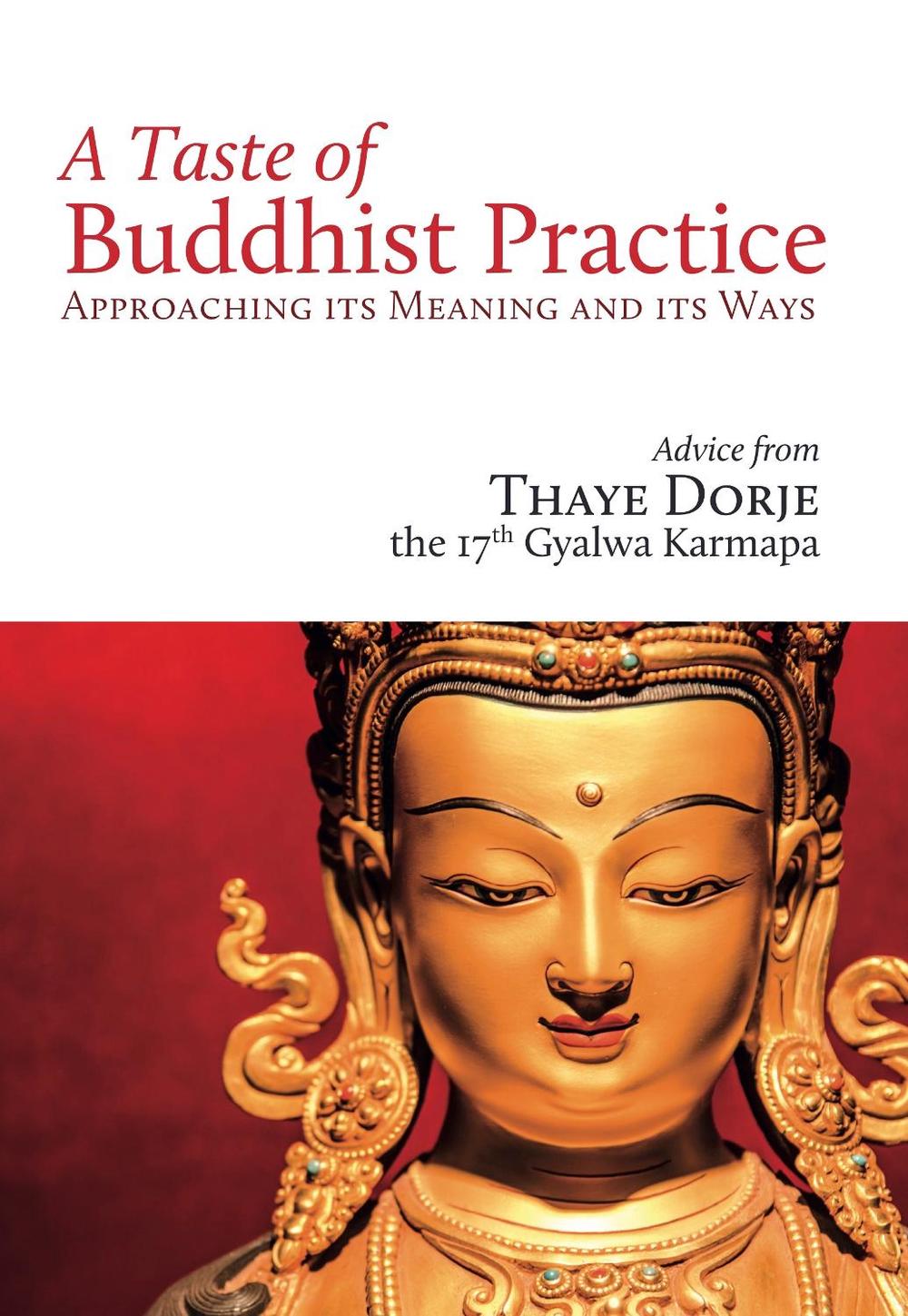 A Taste of Buddhist Practice by His Holiness the 17th Karmapa Thaye Dorje - ISBN: 9782360170272
