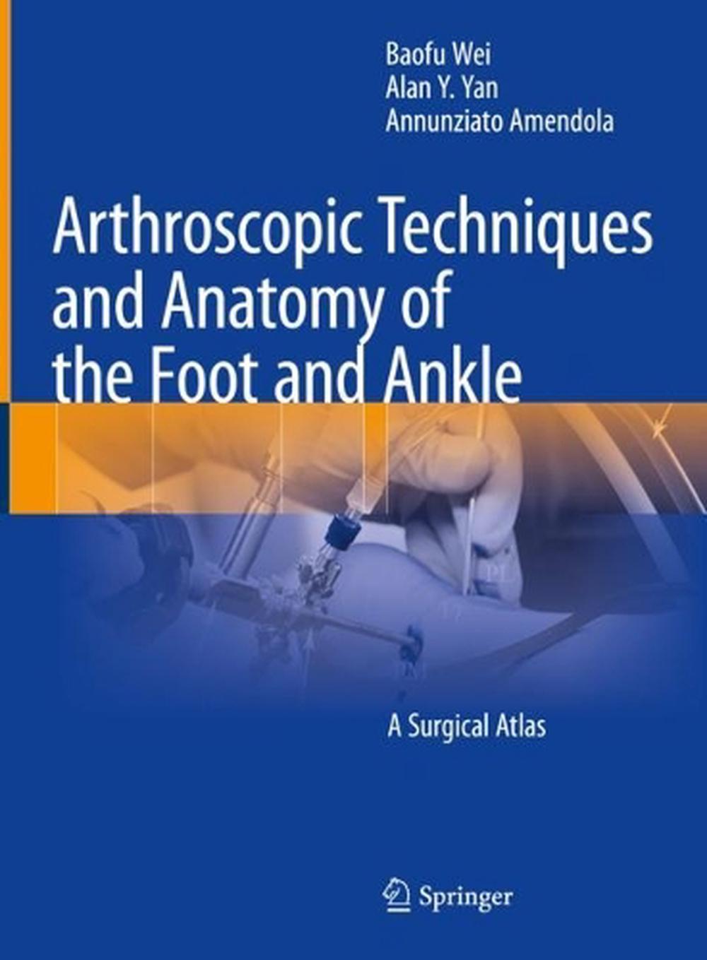 Arthroscopic Techniques and Anatomy of the Foot and Ankle by Baofu Wei ...