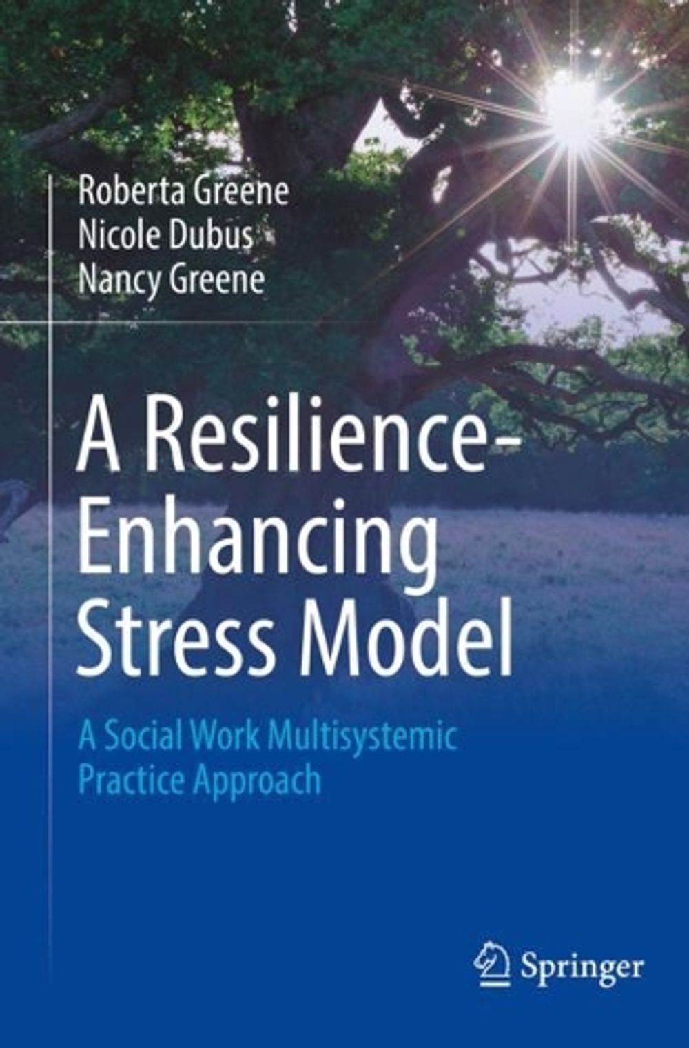 A Resilience-Enhancing Stress Model, 2022nd Edition by Roberta Greene - ISBN: 9783031081149