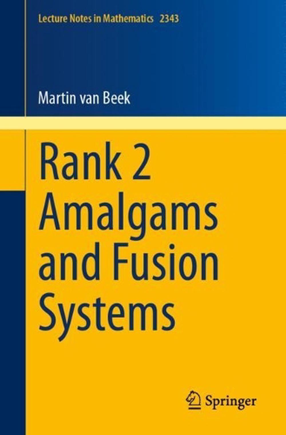 Rank 2 Amalgams and Fusion Systems, 9783031544606