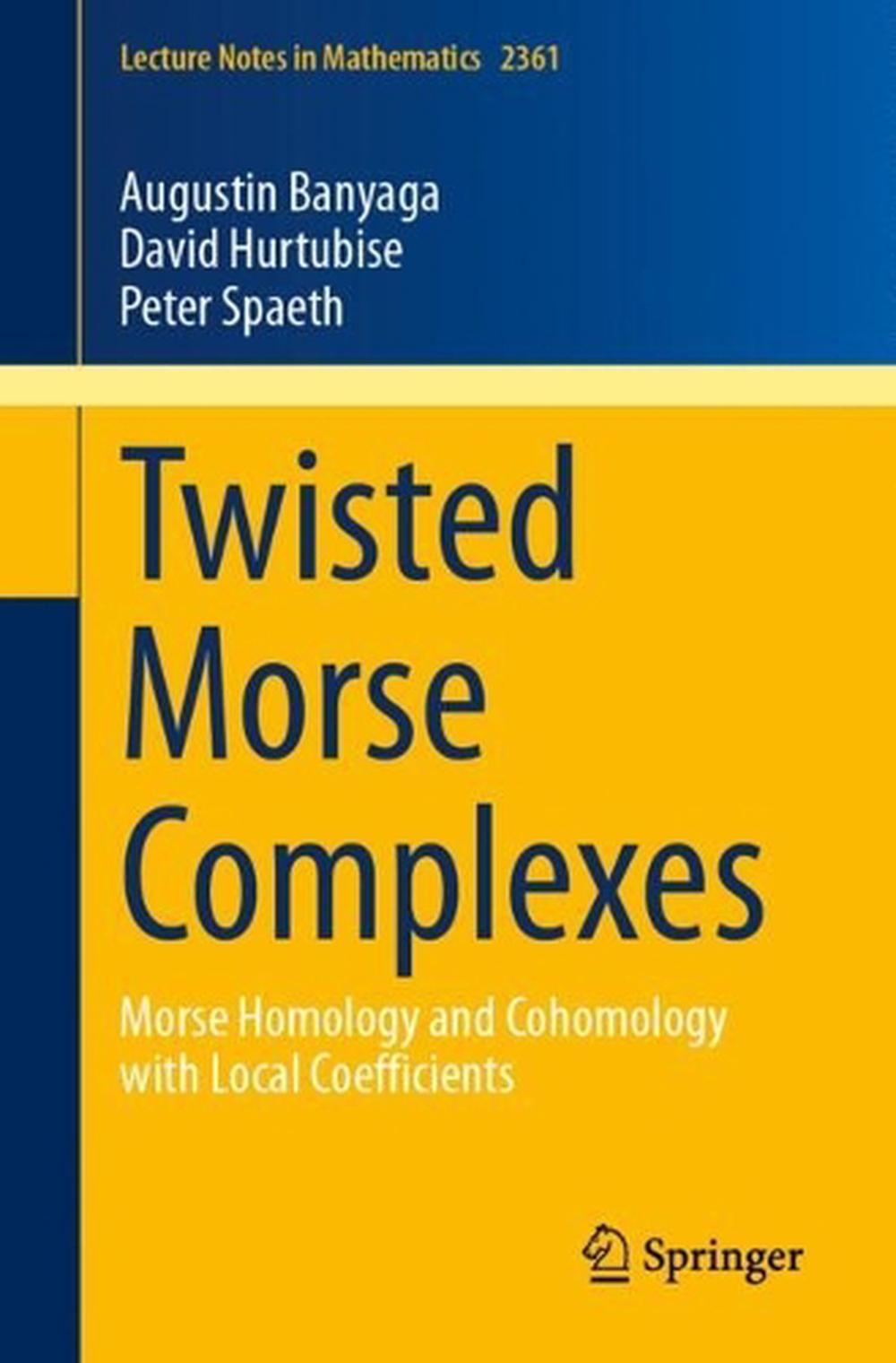 Twisted Morse Complexes, 9783031716157