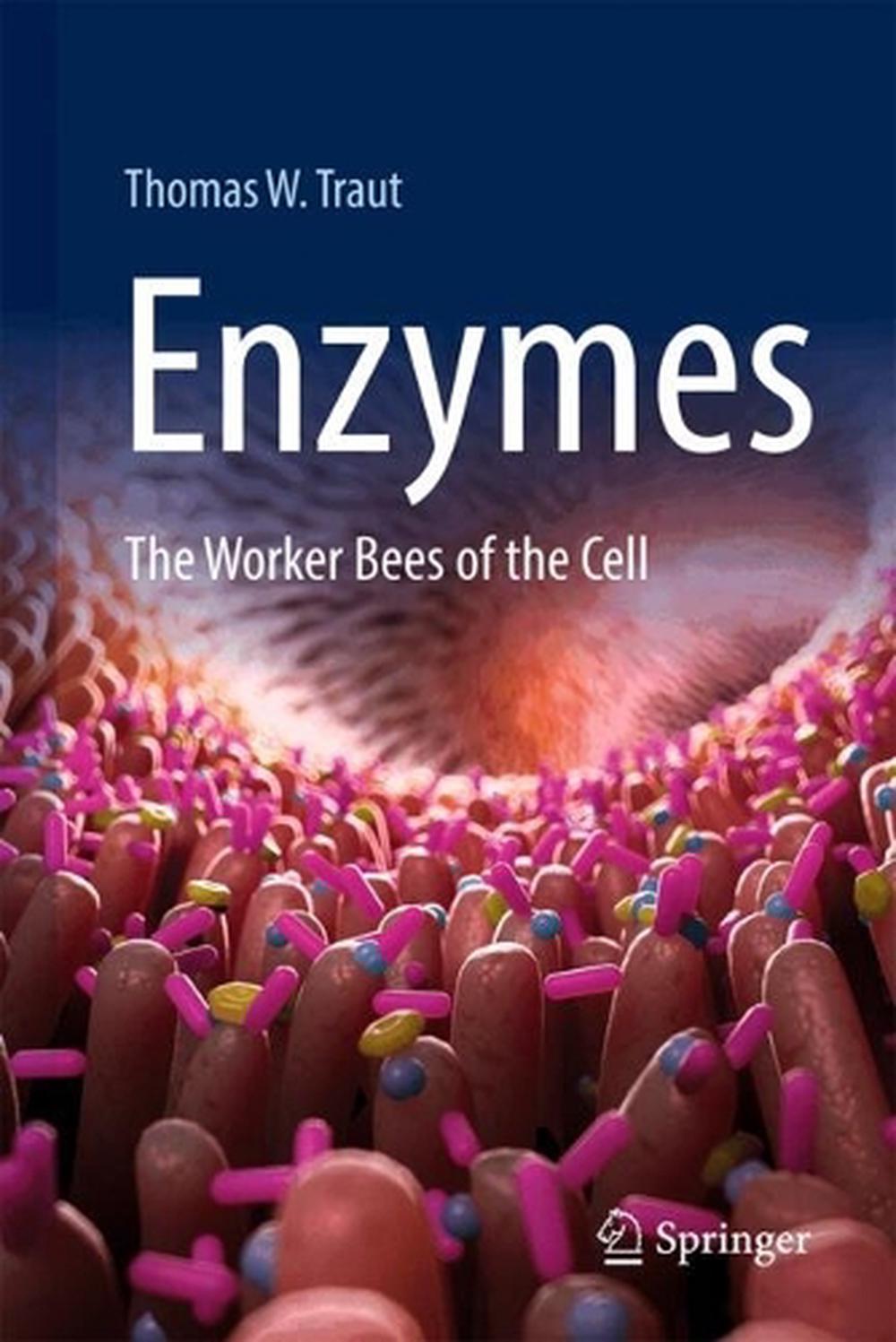 Enzymes, 9783031936074