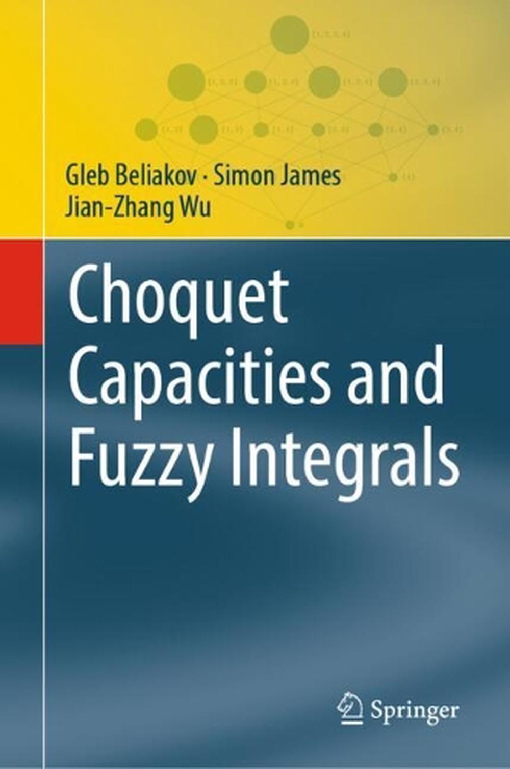 Choquet Capacities and Fuzzy Integrals, 9783031970696