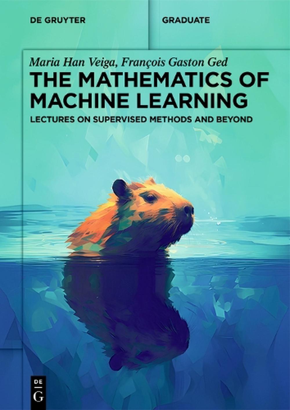 The Mathematics of Machine Learning, 9783111288475