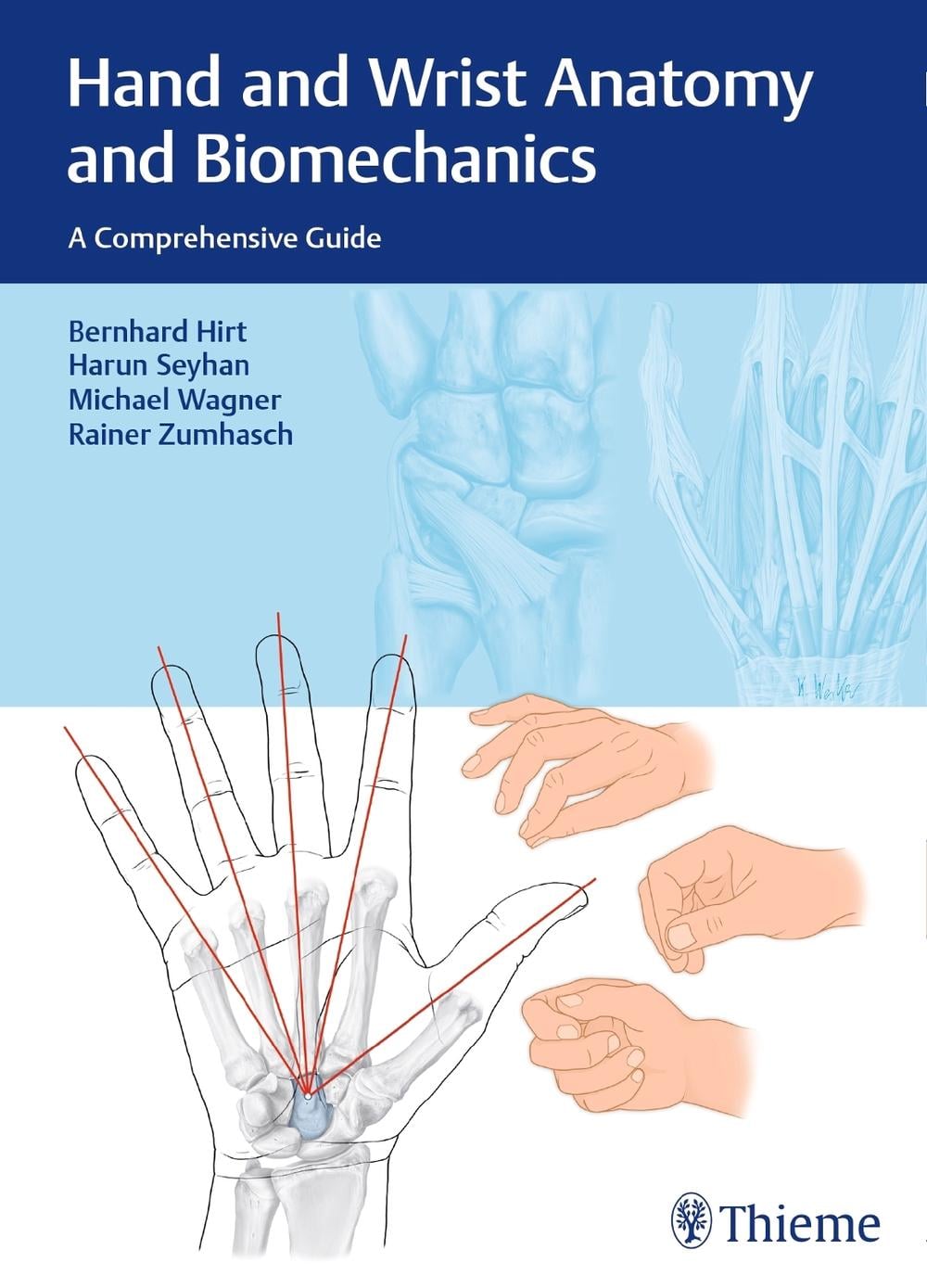 Hand and Wrist Anatomy and Biomechanics by Bernhard Hirt - ISBN: 9783132053410