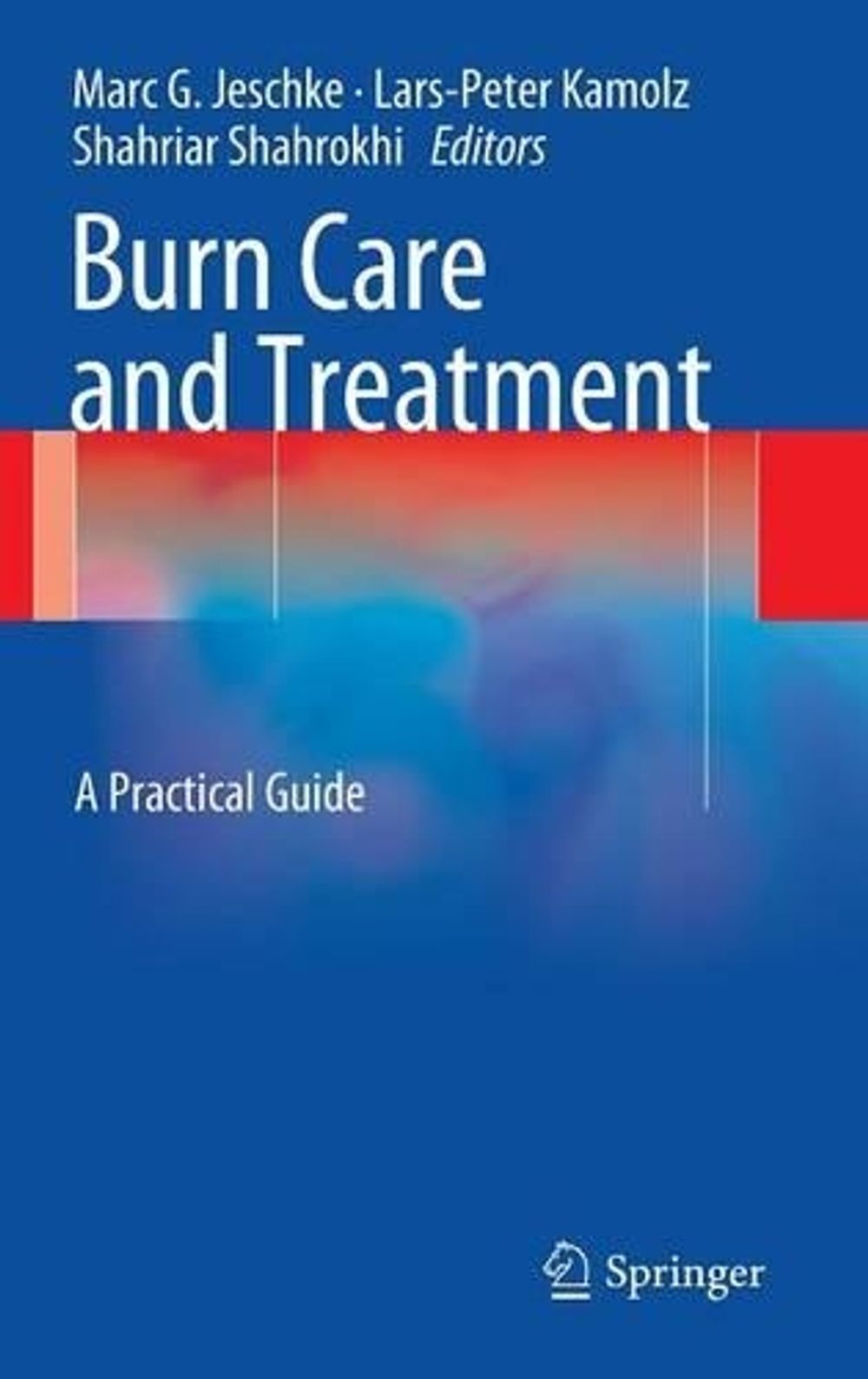 Burn Care and Treatment by Marc G. Jeschke - ISBN: 9783709111321