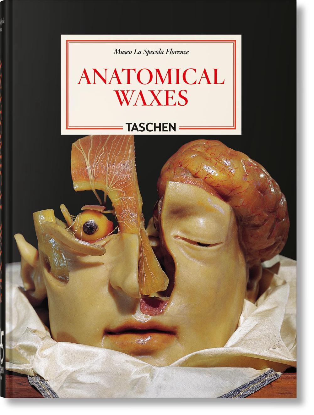 Anatomical Waxes. 45th Ed., 9783754402177
