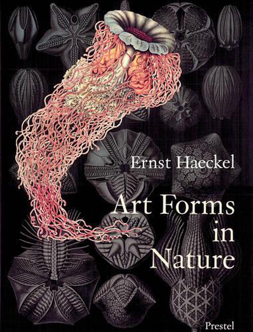 Art Forms in Nature The Prints of Ernst Haeckel by Ernst Heinrich