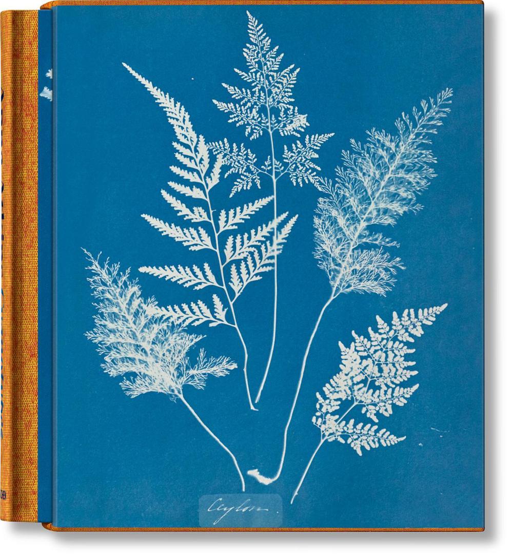 Anna Atkins. Cyanotypes, 9783836596039