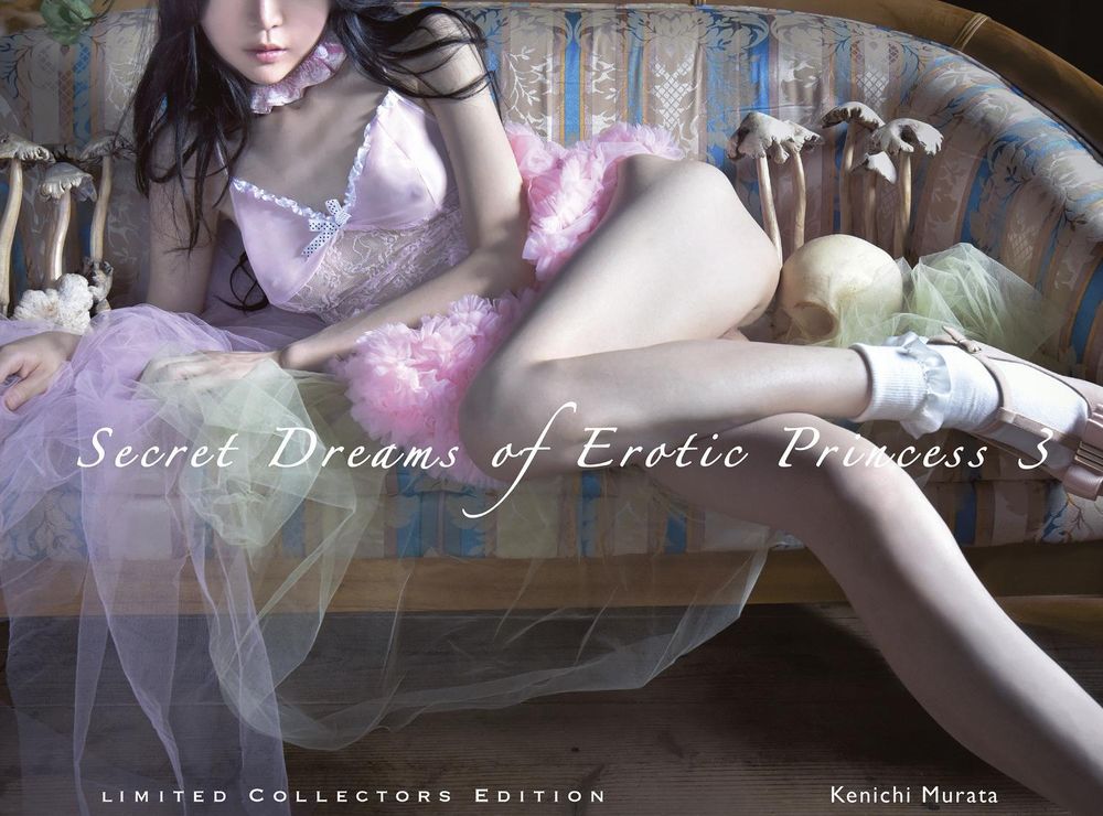 Secret Dreams of Erotic Princess 3 by Kenichi Murata, Hardcover