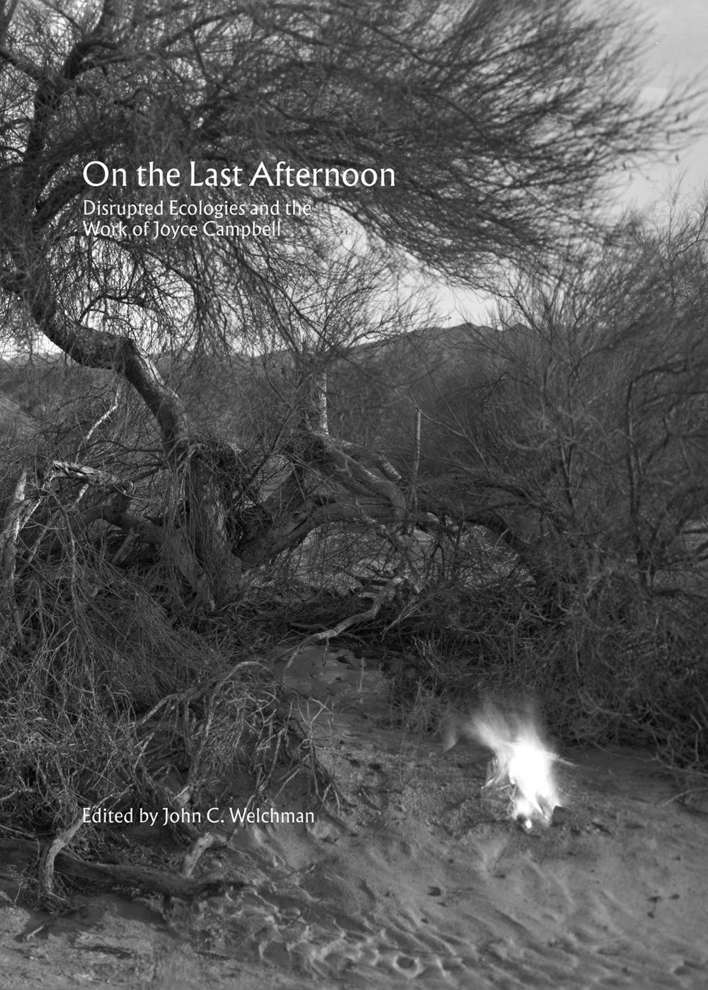 On the Last Afternoon by John C. Welchman - ISBN: 9783956794445