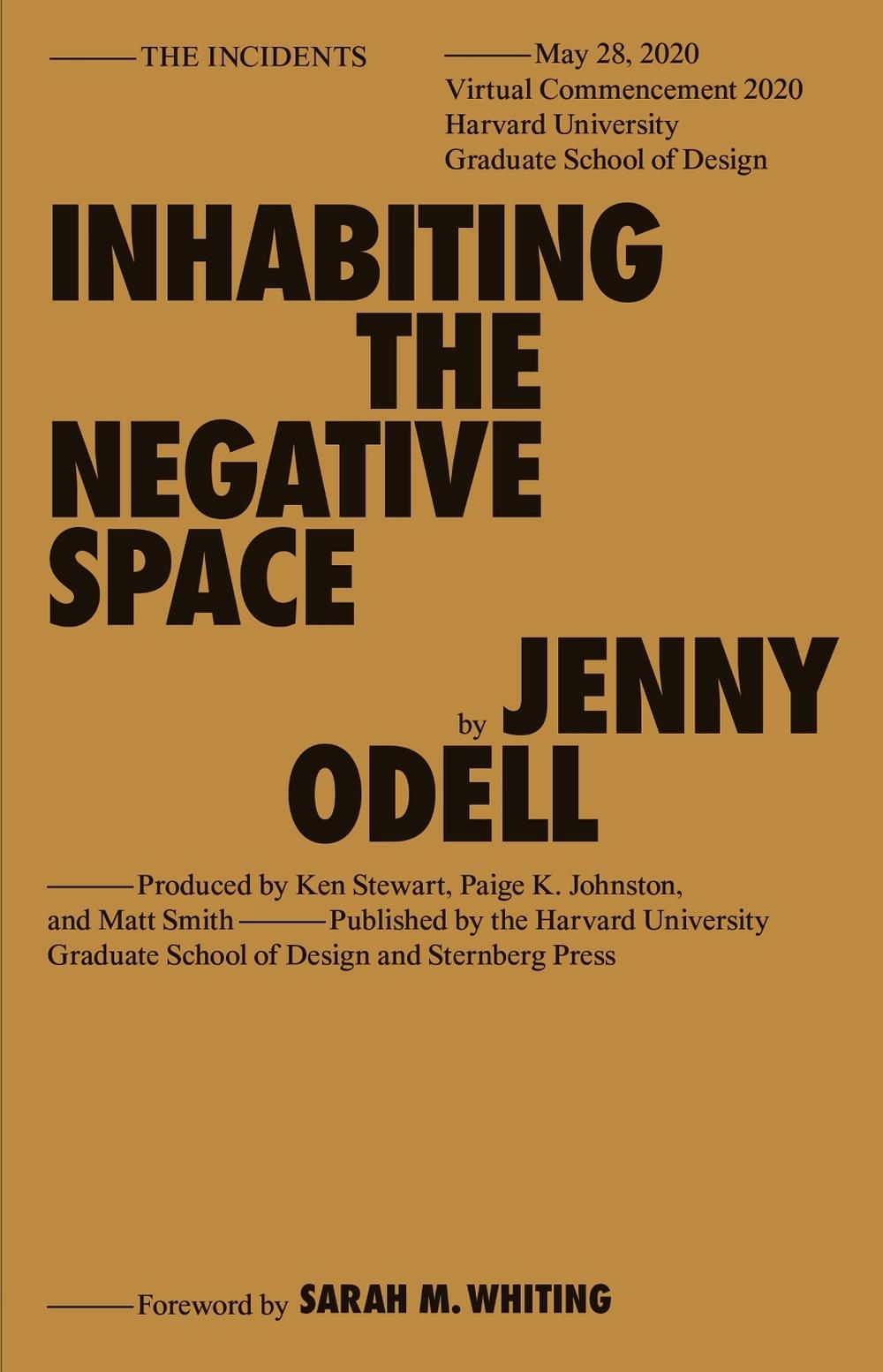 Inhabiting the Negative Space by Jenny Odell - ISBN: 9783956795817