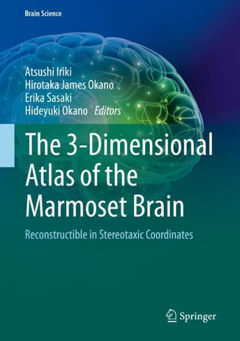 The 3-Dimensional Atlas of the Marmoset Brain, Hardcover, 9784431566106 ...