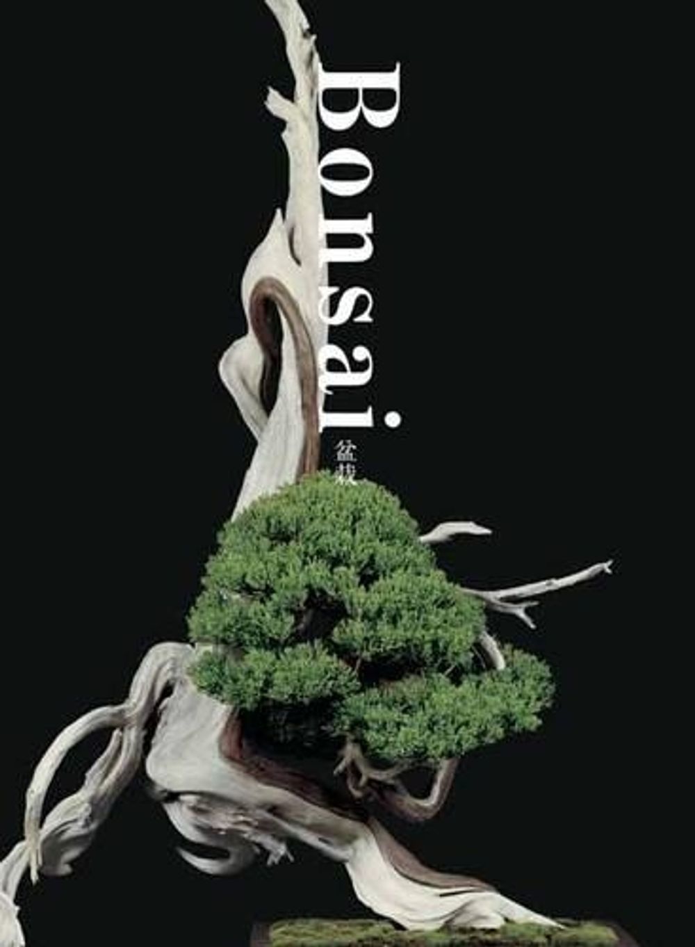 Bonsai by Kunio Kobayashi - ISBN: 9784756248299