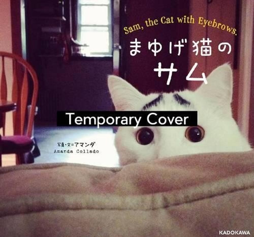 Sam, the Cat with Eyebrows by Amanda Collado - ISBN: 9784865050769