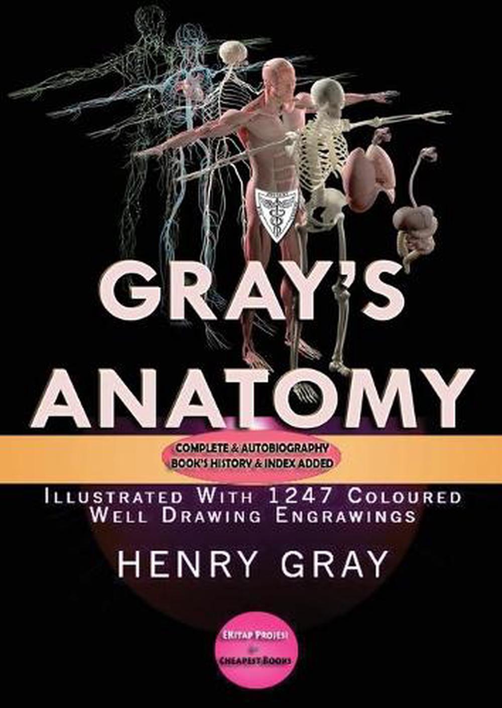 Gray's Anatomy By Henry Gray, Paperback, 9786057861320 | Buy Online At ...