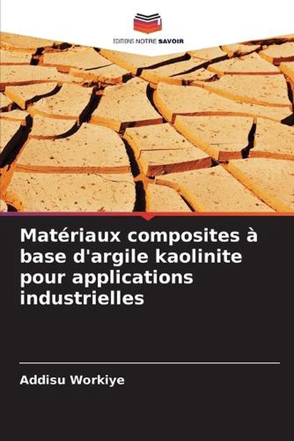 Matériaux composites à base d'argile kaolinite pour applications ...