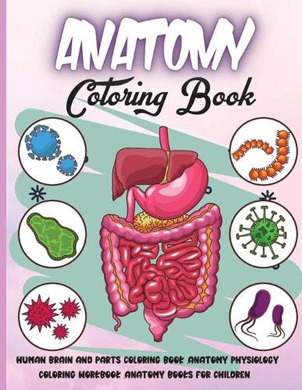 Download Anatomy Coloring Book By Rhea Stokes Paperback 9787739930549 Buy Online At Moby The Great