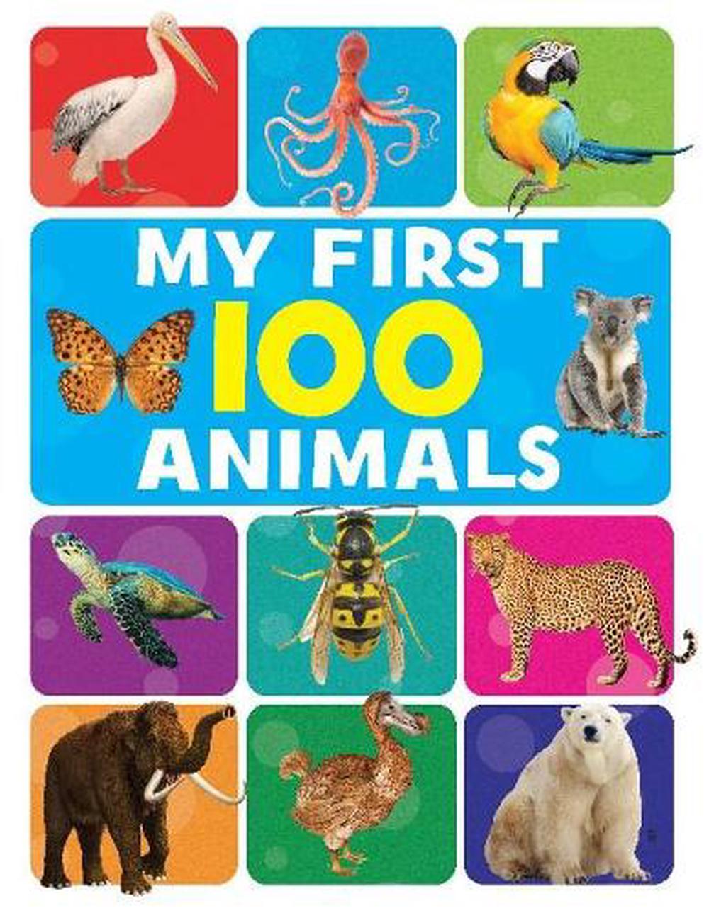 My First 100 Animals by Pegasus, Board Book, 9788131939796 | Buy online ...