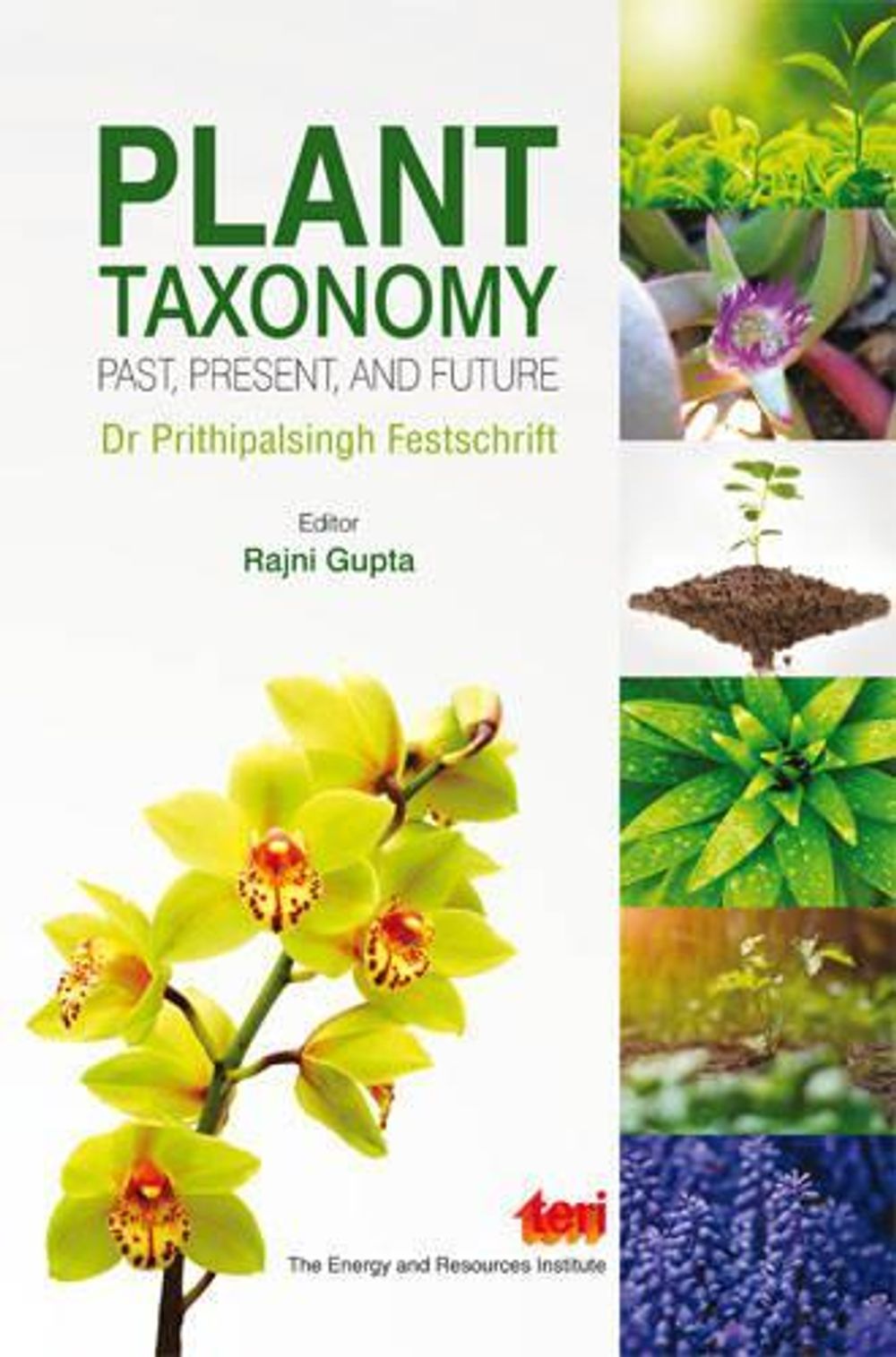 Plant Taxonomy: Past, Present, and Future by Rajni Gupta - ISBN: 9788179933596